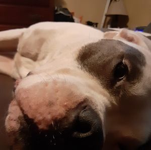 Meet your Posher, Jesse